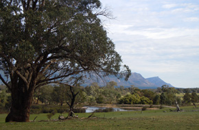 Photo of Grampians