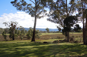 Camp and Caravan site