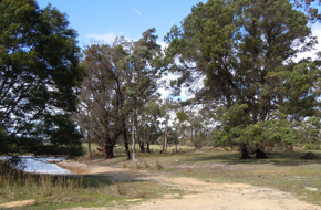 Campervan site