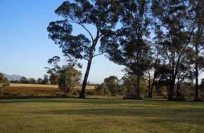 Grampians Old Emu Stay property